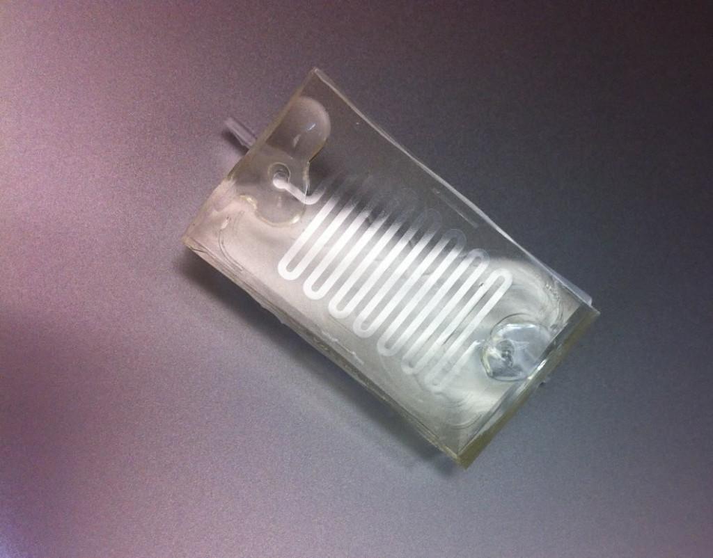 PDMS Device